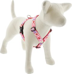 LupinePet Valentine Adjustable Dog Harness, Lovable Gnomes, X-Large: 36 to 44-in chest, 1-in wide