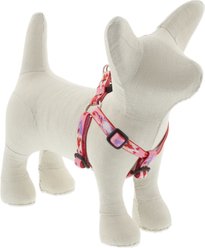 LupinePet Valentine Adjustable Step In Dog Harness, Lovable Gnomes, Small: 12 to 18-in chest, 1/2-in wide