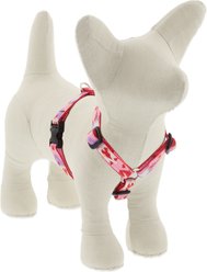 LupinePet Valentine Adjustable Dog Harness, Lovable Gnomes, X-Small: 9 to 14-in chest, 1/2-in wide
