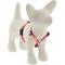 Show in main carousel: LupinePet Valentine Adjustable Dog Harness, Lovable Gnomes, Small: 12 to 20-in chest, 3/4-in wide slide 1 of 6