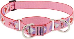LupinePet Valentine Adjustable Slip-On Nylon Martingale Training Dog Collar, Lovable Gnomes, X-Large: 19 to 27-in neck, 1-in wide