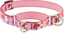 LupinePet Valentine Adjustable Slip-On Nylon Martingale Training Dog Collar, Lovable Gnomes, Small: 10 to 14-in neck, 3/4-in wide