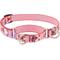 Show in main carousel: LupinePet Valentine Adjustable Slip-On Nylon Martingale Training Dog Collar, Lovable Gnomes, Small: 10 to 14-in neck, 3/4-in wide slide 1 of 7