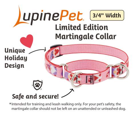 Show full view: LupinePet Valentine Adjustable Slip-On Nylon Martingale Training Dog Collar, Lovable Gnomes, Small: 10 to 14-in neck, 3/4-in wide slide 3 of 7