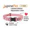 Show in main carousel: LupinePet Valentine Adjustable Nylon Dog Collar, Lovable Gnomes, Large: 16 to 28-in neck, 1-in wide slide 3 of 8