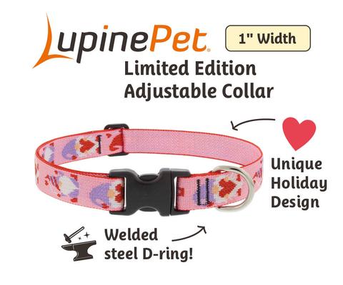 Show full view: LupinePet Valentine Adjustable Nylon Dog Collar, Lovable Gnomes, Large: 16 to 28-in neck, 1-in wide slide 3 of 8