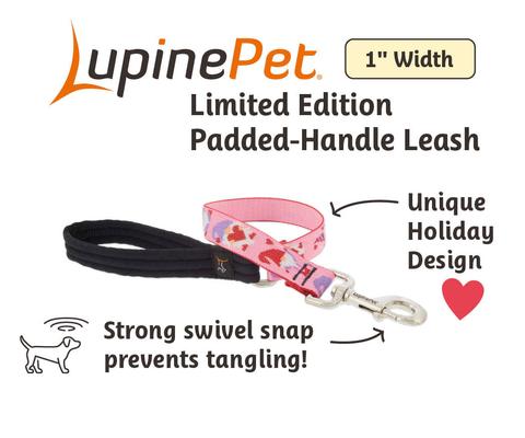 Show full view: LupinePet Valentine Padded Handle Dog Leash, Lovable Gnomes, Short: 2-ft long, 1-in wide slide 2 of 5