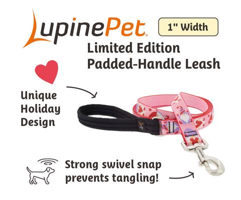 Show full view: LupinePet Valentine Padded Handle Dog Leash, Lovable Gnomes, Regular: 6-ft long, 1-in wide slide 3 of 6