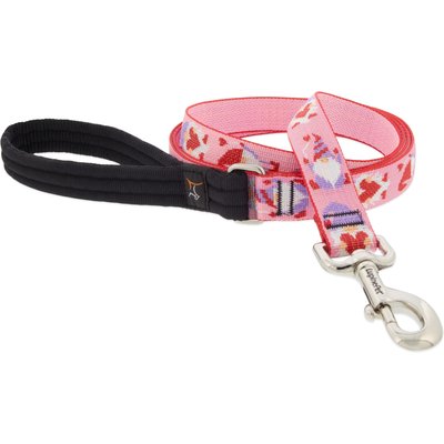 LupinePet LupinePet Valentine Padded Handle Dog Leash, Lovable Gnomes, Regular: 6-ft long, 1-in wide