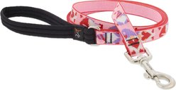 LupinePet Valentine Padded Handle Dog Leash, Lovable Gnomes, Regular: 4-ft long, 3/4-in wide
