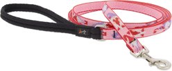LupinePet Valentine Padded Handle Small Dog & Cat Leash, Lovable Gnomes, Regular: 6-ft long, 1/2-in wide