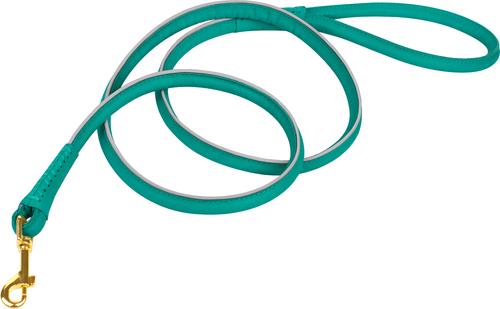 Show full view: OOPSDOGGY Outdoor Rolled Leather Reflective Walking Running Dog Leash, Teal, Small: 6-ft long, 3/8-in wide slide 8 of 8