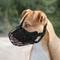 Show in main carousel: OOPSDOGGY Adjustable Nylon Metal Reflective Mask Secure Wire Basket Pitbull Dog Amstaff Soft Cage Muzzle, Black slide 8 of 8