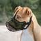 Show in main carousel: OOPSDOGGY Adjustable Nylon Metal Reflective Mask Secure Wire Basket Pitbull Dog Amstaff Soft Cage Muzzle, Green slide 8 of 8