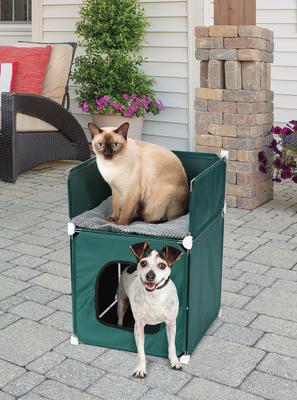 Show full view: Etna Indoor/Outdoor Dog & Cat House with Elevated Bed slide 3 of 5