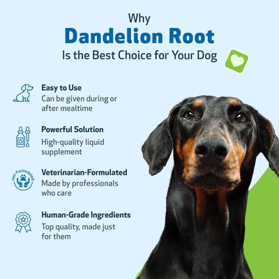 Show full view: Pet Wellbeing Dandelion Root Bacon Flavored Liquid Digestive & Liver Supplement for Dog, 4-oz bottle slide 5 of 10