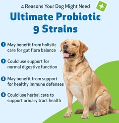 Pet Wellbeing Ultimate Probiotic Powder Digestive Supplement for Dogs, 320-g jar slide 2 of 6