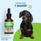 Show in main carousel: Pet Wellbeing Blood Sugar GOLD Bacon Flavored Liquid Diabetes Supplement for Dogs, 2-oz bottle slide 8 of 11