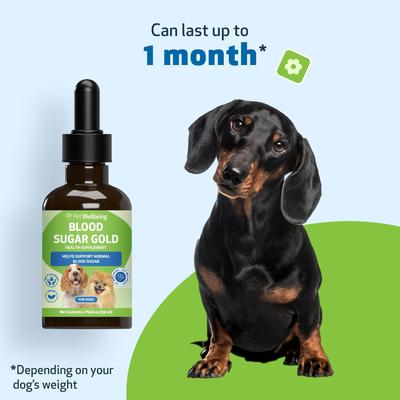 Show full view: Pet Wellbeing Blood Sugar GOLD Bacon Flavored Liquid Diabetes Supplement for Dogs, 2-oz bottle slide 8 of 11