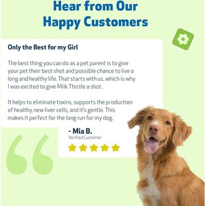 Pet Wellbeing Milk Thistle Bacon Flavored Liquid Liver Supplement for Dogs, 4-oz bottle