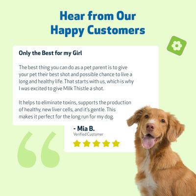 Show full view: Pet Wellbeing Milk Thistle Bacon Flavored Liquid Liver Supplement for Dogs, 2-oz bottle slide 10 of 11