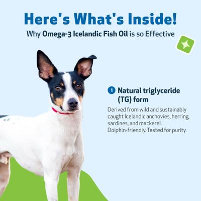 Show full view: Pet Wellbeing Omega 3 Daily Wellness Liquid Skin & Coat Supplement for Dogs, 8-oz bottle slide 7 of 10