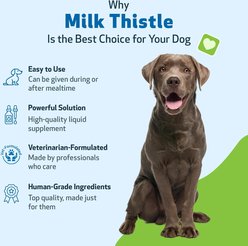 Pet Wellbeing Milk Thistle Bacon Flavored Liquid Liver Supplement for Dogs, 2-oz bottle slide 2 of 8