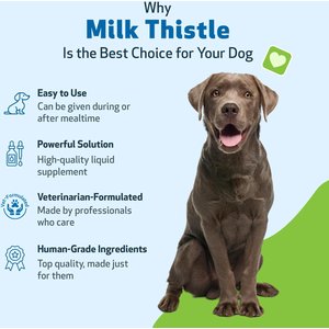 Pet Wellbeing Milk Thistle Bacon Flavored Liquid Liver Supplement for Dogs, 2-oz bottle