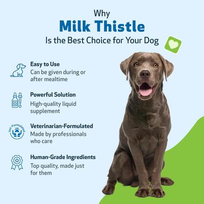 Show full view: Pet Wellbeing Milk Thistle Bacon Flavored Liquid Liver Supplement for Dogs, 2-oz bottle slide 4 of 11