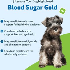 Pet Wellbeing Blood Sugar GOLD Bacon Flavored Liquid Diabetes Supplement for Dogs, 2-oz bottle slide 2 of 8