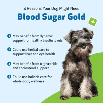 Show full view: Pet Wellbeing Blood Sugar GOLD Bacon Flavored Liquid Diabetes Supplement for Dogs, 2-oz bottle slide 4 of 11
