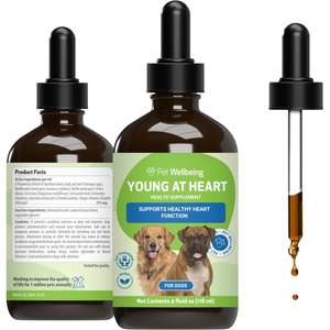 l-carnitine liquid supplement for cats LiquiCarn L-Carnitine for Cats: Energy, Weight,