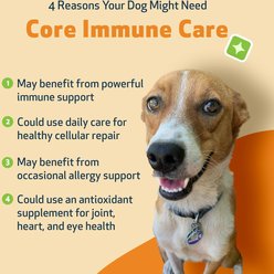 Pet Wellbeing Core Immune CARE Beef Flavored Powder Immune Supplement for Dogs, 3.7-oz bottle slide 2 of 7