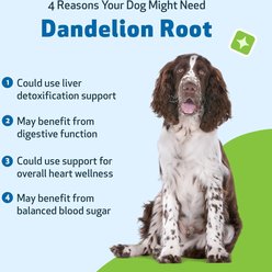 Pet Wellbeing Dandelion Root Bacon Flavored Liquid Digestive & Liver Supplement for Dog, 4-oz bottle slide 2 of 8