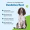 Show in main carousel: Pet Wellbeing Dandelion Root Bacon Flavored Liquid Digestive & Liver Supplement for Dog, 4-oz bottle slide 4 of 10