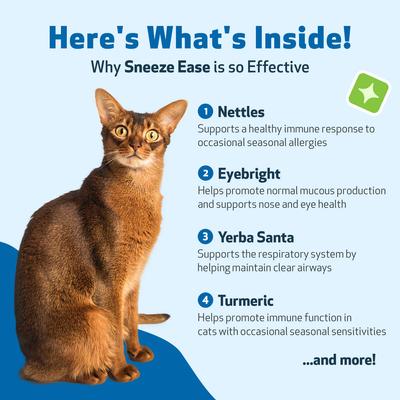 Show full view: Pet Wellbeing Sneeze Ease Bacon Flavored Liquid Allergy Supplement for Cats, 2-oz bottle slide 6 of 10