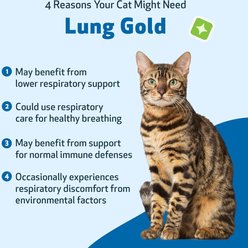 Pet Wellbeing Lung GOLD Bacon Flavored Liquid Respiratory Supplement for Cats, 2-oz bottle slide 2 of 8
