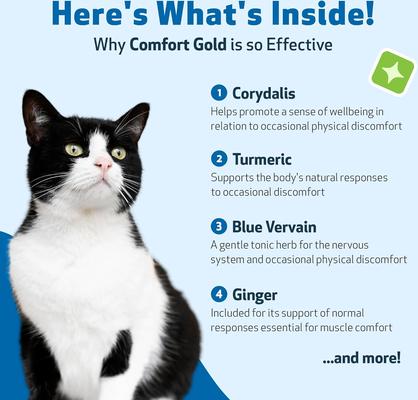 Show full view: Pet Wellbeing Comfort GOLD for Occasional Discomfort for Cats, 2-oz bottle slide 7 of 10