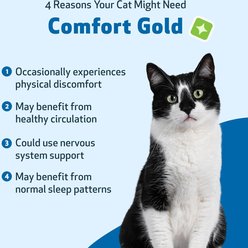 Pet Wellbeing Comfort GOLD for Occasional Discomfort for Cats, 2-oz bottle slide 2 of 7