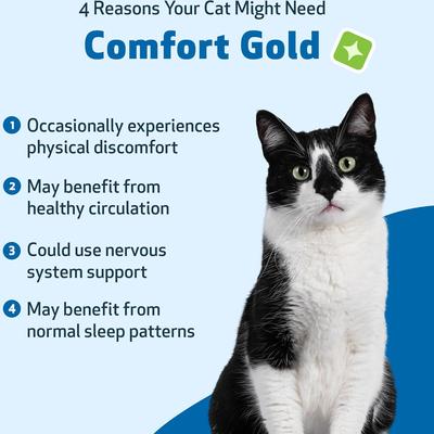 Show full view: Pet Wellbeing Comfort GOLD for Occasional Discomfort for Cats, 2-oz bottle slide 4 of 10