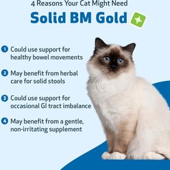 Pet Wellbeing BM Tone-Up GOLD for Diarrhea for Cats, 2-oz bottle slide 2 of 8