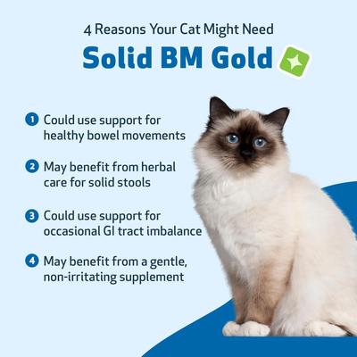 Show full view: Pet Wellbeing BM Tone-Up GOLD for Diarrhea for Cats, 2-oz bottle slide 4 of 11