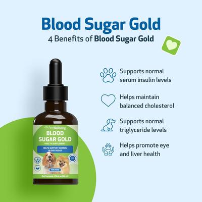 Show full view: Pet Wellbeing Blood Sugar GOLD Bacon Flavored Liquid Diabetes Supplement for Dogs, 2-oz bottle slide 5 of 11