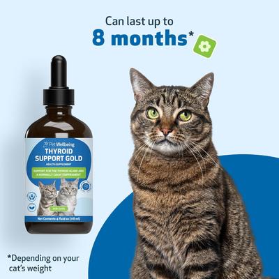 Show full view: Pet Wellbeing Thyroid Support Gold Bacon Flavored Liquid Supplement for Cats, 2-oz bottle slide 9 of 11
