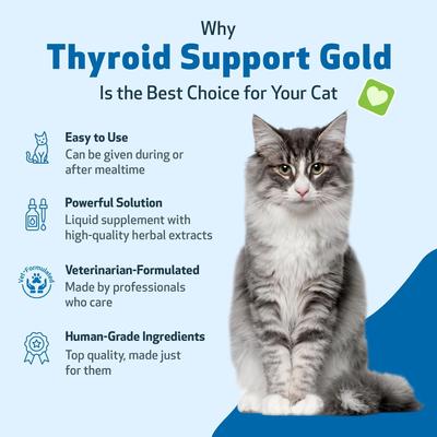 Show full view: Pet Wellbeing Thyroid Support Gold Bacon Flavored Liquid Supplement for Cats, 2-oz bottle slide 6 of 11