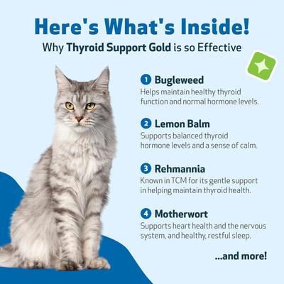 Show full view: Pet Wellbeing Thyroid Support Gold Bacon Flavored Liquid Supplement for Cats, 2-oz bottle slide 7 of 11