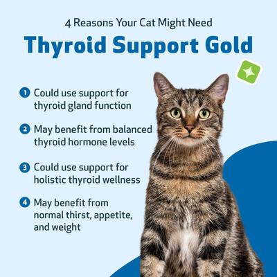 Show full view: Pet Wellbeing Thyroid Support Gold Bacon Flavored Liquid Supplement for Cats, 2-oz bottle slide 4 of 11