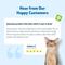 Show in main carousel: Pet Wellbeing Throat Gold Bacon Flavored Liquid Respiratory Supplement for Cats, 2-oz bottle, Blue slide 9 of 11