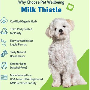 Pet Wellbeing Milk Thistle Bacon Flavored Liquid Liver Supplement for Dogs, 4-oz bottle
