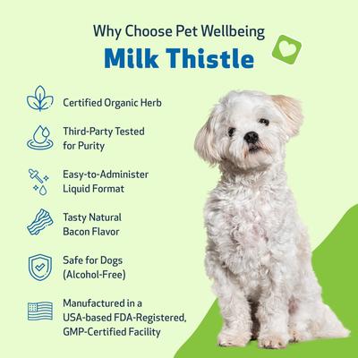 Show full view: Pet Wellbeing Milk Thistle Bacon Flavored Liquid Liver Supplement for Dogs, 4-oz bottle slide 4 of 11